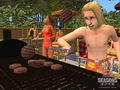 seasons_23_s.jpg